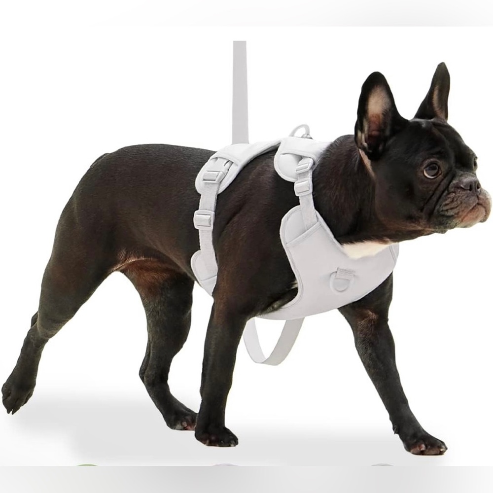 ARRR No-Pull Dog Training Harness with Front Leash Clip with Soft Padded Escape